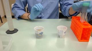 How to perform fecal exam  Sedimentation technique [upl. by Ayim501]