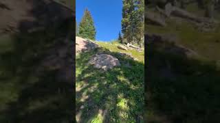 Video of Fall River Reservoir Dispersed Camping Trail CO from Colin H [upl. by Horgan708]