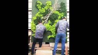 QG Floral Time Lapse  Preserved Moss Wall [upl. by Giorgi]