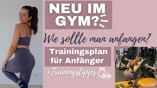 TRAININGSPLAN FÜR ANFÄNGER  Wie und mit welchen Übungen sollte man starten I BEGINNERS GUIDE [upl. by Adnomal475]