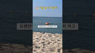 백수 74일차 나랑놀기 기록📝 역시 바다는 동해바다 🌊 [upl. by Lyrac]