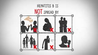 What you need to know about Hepatitis B [upl. by Chappelka731]