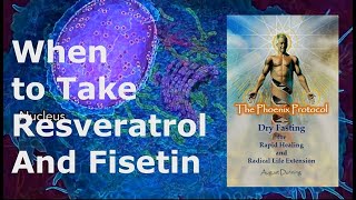 When to Take Resveratrol and Fisetin [upl. by Harrod]