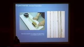 Fill Materials amp Methods for Scratch Repair on Polymethylmethacrylate Used in FaceMounted Photos [upl. by Canale]