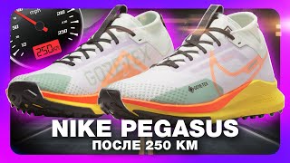 Nike React Pegasus Trail 4 GORETEX после 250км  как изменилось мое мнение после обзора [upl. by Eyt]