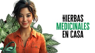 Cultiva Hierbas Medicinales en Casa Ahorra Dinero y Mejora Tu Bienestar [upl. by Parent]