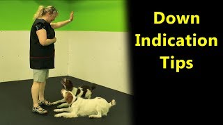 Scent Work Tips on Training a Down Indication [upl. by Sineray]