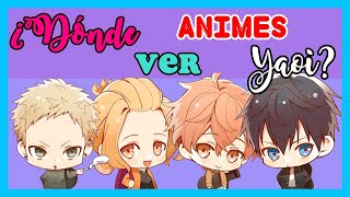 ¿Sabías dónde ENCONTRAR Animes YAOI Sorpréndete [upl. by Aihsiym]