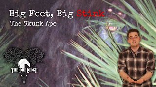 The Skunk Ape of Florida  Folklore [upl. by Day]