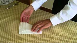 Easy napkin fold [upl. by Beberg]