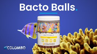 Colombo Marine Bacto Balls [upl. by Edette]