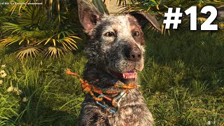 FAR CRY 6 Gameplay Walkthrough Part 12  BOOM BOOM Full Game [upl. by Bridges]