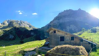 schlini Paradies Teil 1 im Toggenburg  Thurwies Älpli Laui  Jodlerklub Wattwil Der Zgragget [upl. by Dan]