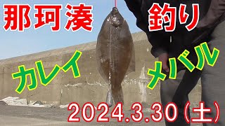 330那珂湊釣り カレイ、メバル釣れました。 [upl. by Haidabej]