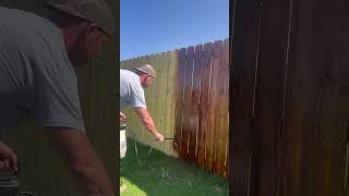 Spraying fence stain with a pump sprayer fenceconstruction fencebuilding fencestaining [upl. by Lamprey194]