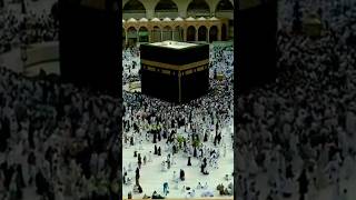 makkah live [upl. by Ikkim]