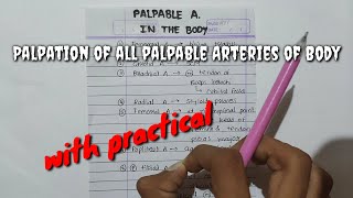 Palpation of all palpable Arteries of Body [upl. by Esdnil]