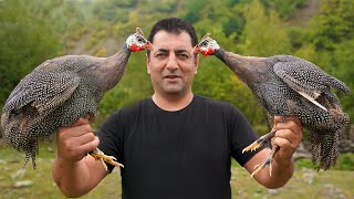 GUINEA FOWL COOKING IN OVEN  TANDOORI BAKED RECIPE  ROASTED TEETARI BY WILDERNESS COOKING [upl. by Pasadis]