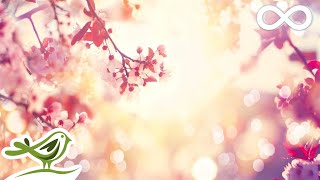 9 Hours of Relaxing Sleep Music • Soft Piano Music Fall Asleep Fast 98 [upl. by Bender]