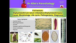 Cestode Family Diphyllobothriidae Diphyllobothrium latum DiphyllobothriasisFull lectureDr Alim [upl. by O'Dell]