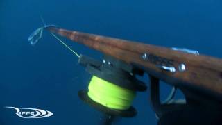 Spearfishing  Team Riffe in Panama [upl. by Melicent]