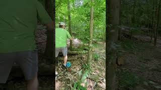 discgolf hole 2 at Chris Greene Lake DiscGolfCourse practice [upl. by Parhe]