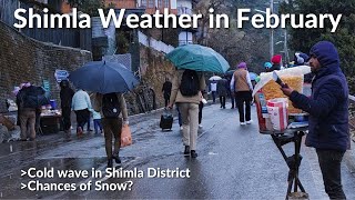 Shimla Vlog  Shimla in February  Shimla Weather  Snowfall update Shimla [upl. by Lurline]