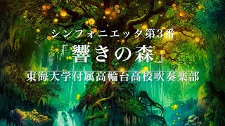 【吹奏楽】シンフォニエッタ第3番「響きの森」福島弘和（東海大学付属高輪台高校吹奏楽部） [upl. by Juley]