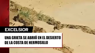 Enorme grieta se traga a unos becerros en Sonora [upl. by Jeu]