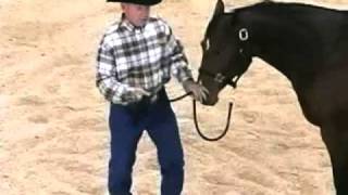 Horse Training with John Lyons  Pull Back Part 1 [upl. by Truk405]