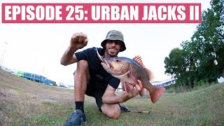 Cairns urban lure fishing [upl. by Belia]