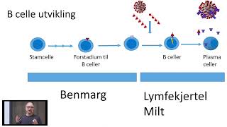 Behandling av KLL opptak fra seminar om KLL 120324 [upl. by Tergram]