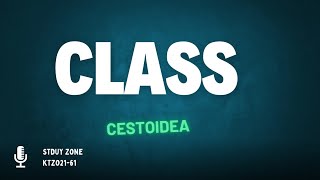 class cestoideaTrue tapewormSub class cestodaria Eucestodaria Cestodaria [upl. by Vania]