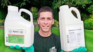 Whats the Best Pre Emergent Herbicide for Lawns [upl. by Hilar]