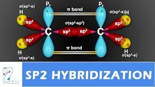 SP2 Hybridization [upl. by Adis]