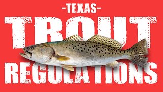 Speckled Trout Size Limit in Texas 2022  Texas Fishing Regulations [upl. by Alemac957]