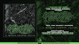 DAMNATIONS DOMAIN GASOLINE AND THE TASTE OF FLESH Single  Iron Fortress Records [upl. by Hannah]