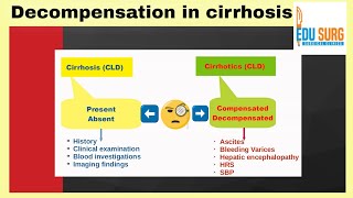 Cirrhosis stages  decompensated cirrhosis  cirrhosis of liver  small talk series [upl. by Aisekal]