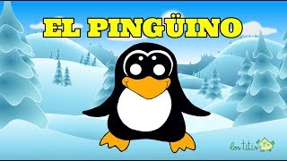 Caracteristicas del PINGUINO para NIÑOS 🐧🐧 Donde viven los pinguinos [upl. by Nixie]