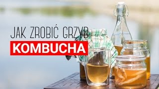 Grzyb kombucha przepis Jak zrobić herbaciany grzyb Czajnikowypl [upl. by Castora]