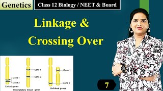 Linkage and Crossing Over Class 12 Biology  Genetics  English [upl. by Sybil]