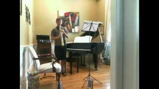 Theme From Schindlers List  John Williams Soprano Sax cover [upl. by Araem]