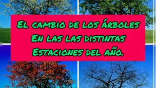 Cambios en los árboles en las distintas estaciones del año [upl. by Carboni]