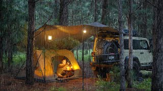 Coziest RAIN CAMPING in a Pine Forest  SOLO Relaxing in a Tent and Tarp shelter ASMR [upl. by Anelah667]