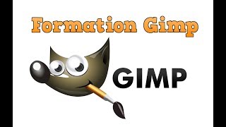 Gimp Outil DExtraction Du Premier Plan [upl. by Kiersten]