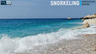 MONTENEGRO 🏝 SNORKELING 🤿 MURINA 🇲🇪 2024 4K📸60 [upl. by Halimaj]