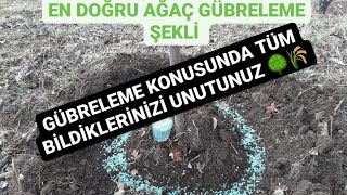 ZİRAAT MÜHENDİSİ AĞAÇLARDA TABAN GÜBRELEMESİ VE BAKIMI AĞAÇ COŞTURAN GÜBRE VERME ŞEKLİ [upl. by Ennovyahs]