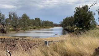 Safari from Birdsville Races 2024 Cordillo Downs…South Australia [upl. by Ahsemed]