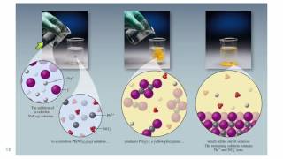 42 Precipitation Reactions [upl. by Idnym]