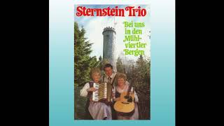 Sternstein Trio  Die Gamserl schwarz und braun 1984 [upl. by Notlad]